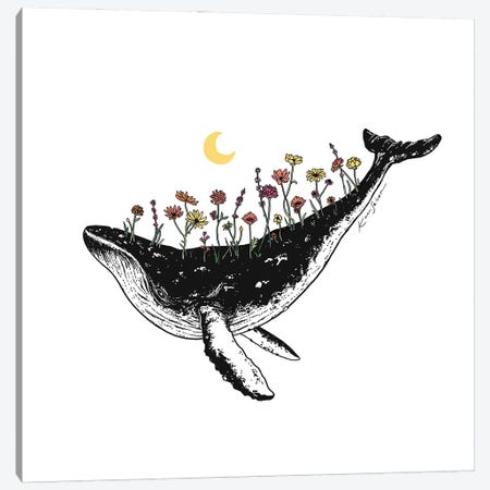 Floral Whale Canvas Print #KSI30} by Kaari Selven Canvas Print