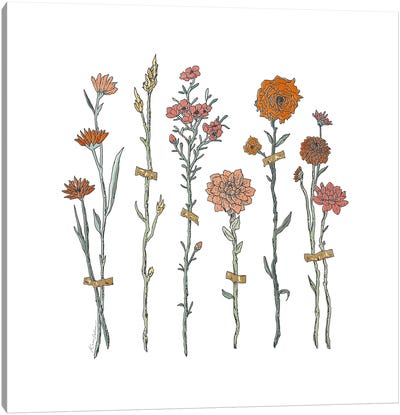 Flower Cuttings Canvas Art Print - Kaari Selven