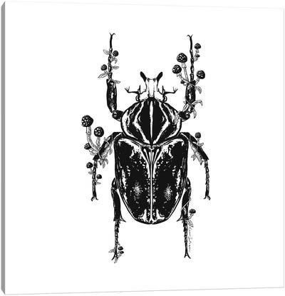 Mushroom Beetle Canvas Art Print - Mushroom Art