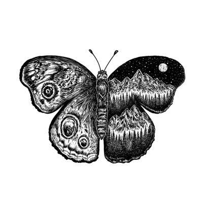 Mountain Butterfly by Kaari Selven multi panel art