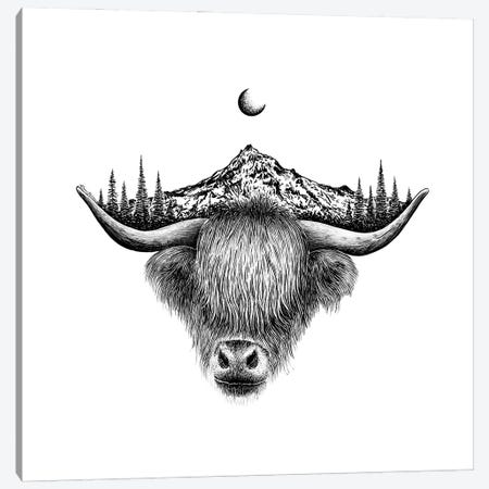 Mountain Highland Cow Canvas Print #KSI55} by Kaari Selven Canvas Artwork