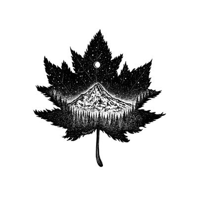 Mountain Leaf by Kaari Selven framed canvas print