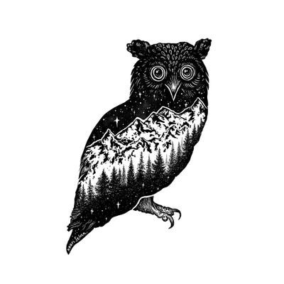 Mountain Owl by Kaari Selven multi panel art