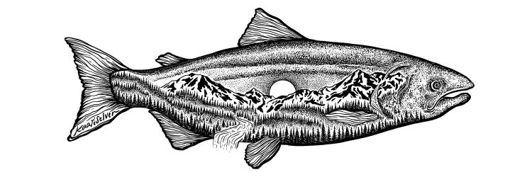 Mountain Salmon