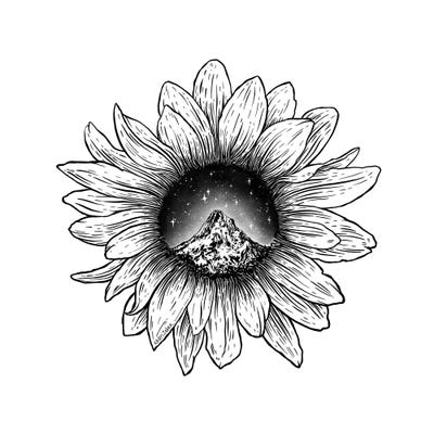 Mountain Sunflower by Kaari Selven canvas print