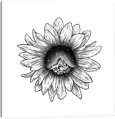 Mountain Sunflower Canvas Art Print - Kaari Selven