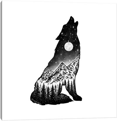 Mountain Wolf II Canvas Art Print - Kaari Selven