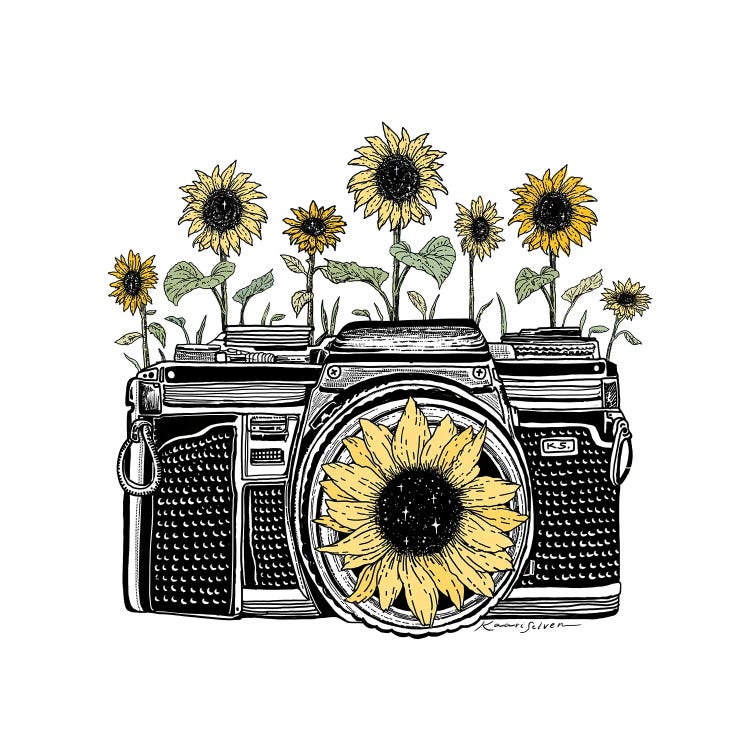 Sunflower Camera In Color