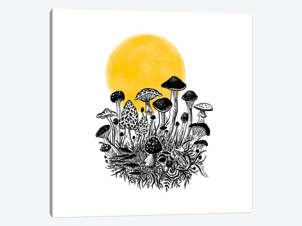 Mushroom Dawn by Kaari Selven 1-piece Canvas Print