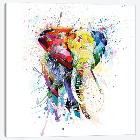 Elephant Canvas Print #KSK21} by Katia Skye Canvas Art
