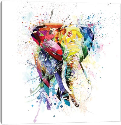Elephant Canvas Art Print - Katia Skye