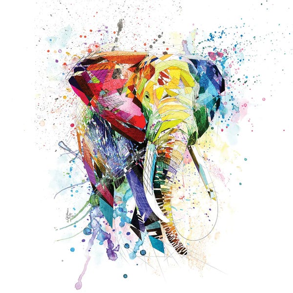 Elephants: Elephant by Katia Skye