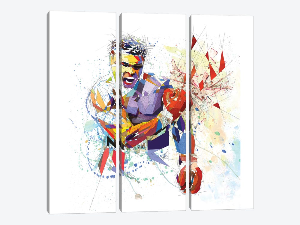 Muhammad Ali 3-piece Canvas Art Print
