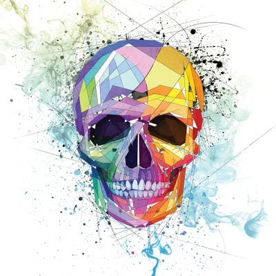 Skull by Katia Skye metal wall art