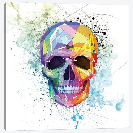 Skull Canvas Print #KSK42} by Katia Skye Canvas Art