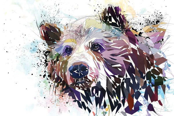 Brown Bears: Bear by Katia Skye