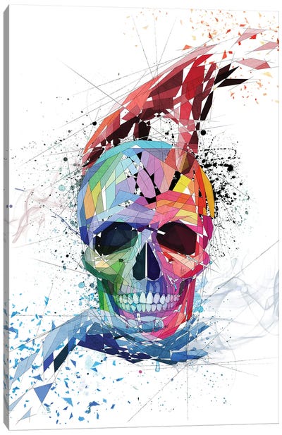 Skull With Hands Canvas Art Print - Katia Skye