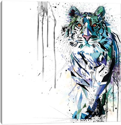 Water Tiger Canvas Art Print - Katia Skye