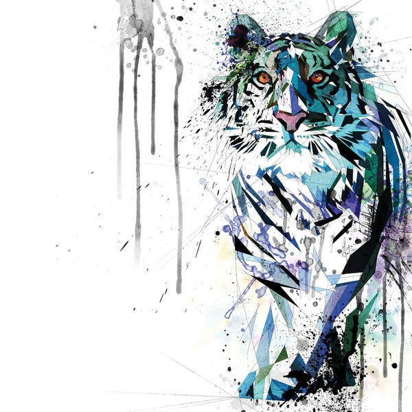 Tigers: Water Tiger by Katia Skye