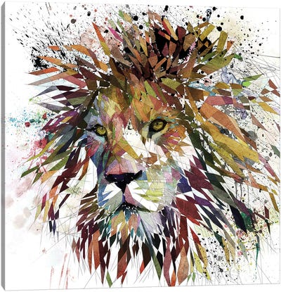 Lion Nature Canvas Art Print - Katia Skye