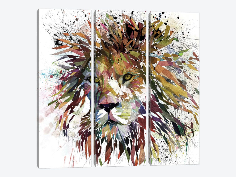 Lion Nature by Katia Skye 3-piece Canvas Art
