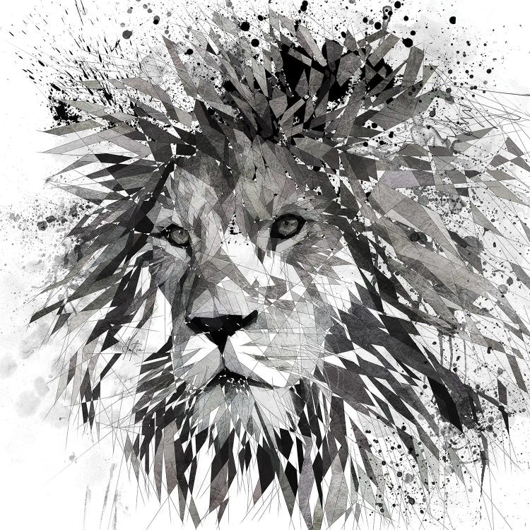 Lion Black And White by Katia Skye wall art