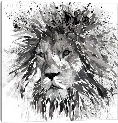 Lion Black And White Canvas Art Print - Katia Skye