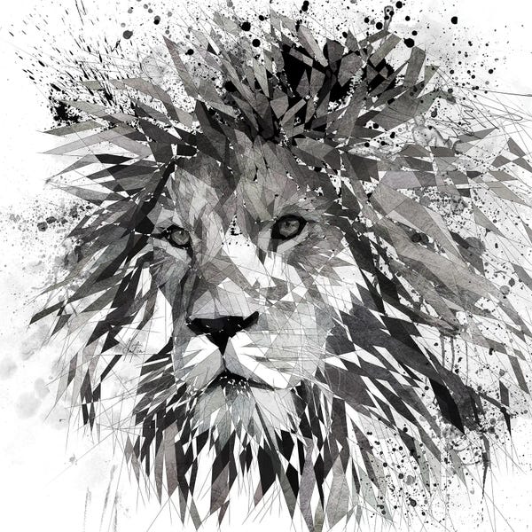 Katia Skye: Lion Black And White by Katia Skye