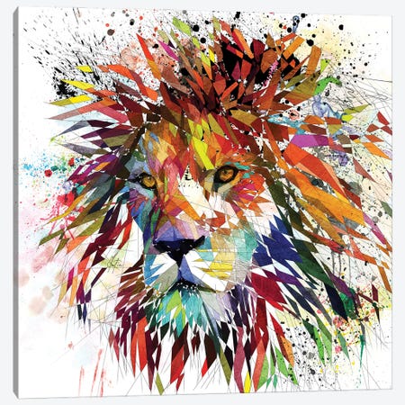 Lion Color Canvas Print #KSK63} by Katia Skye Canvas Wall Art