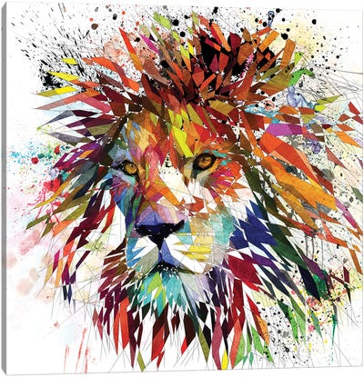 Lion Color Canvas Art Print - Katia Skye