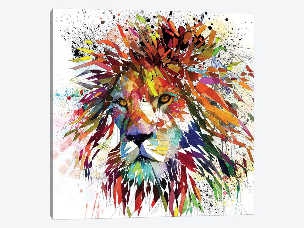 Lion Color by Katia Skye 1-piece Canvas Wall Art
