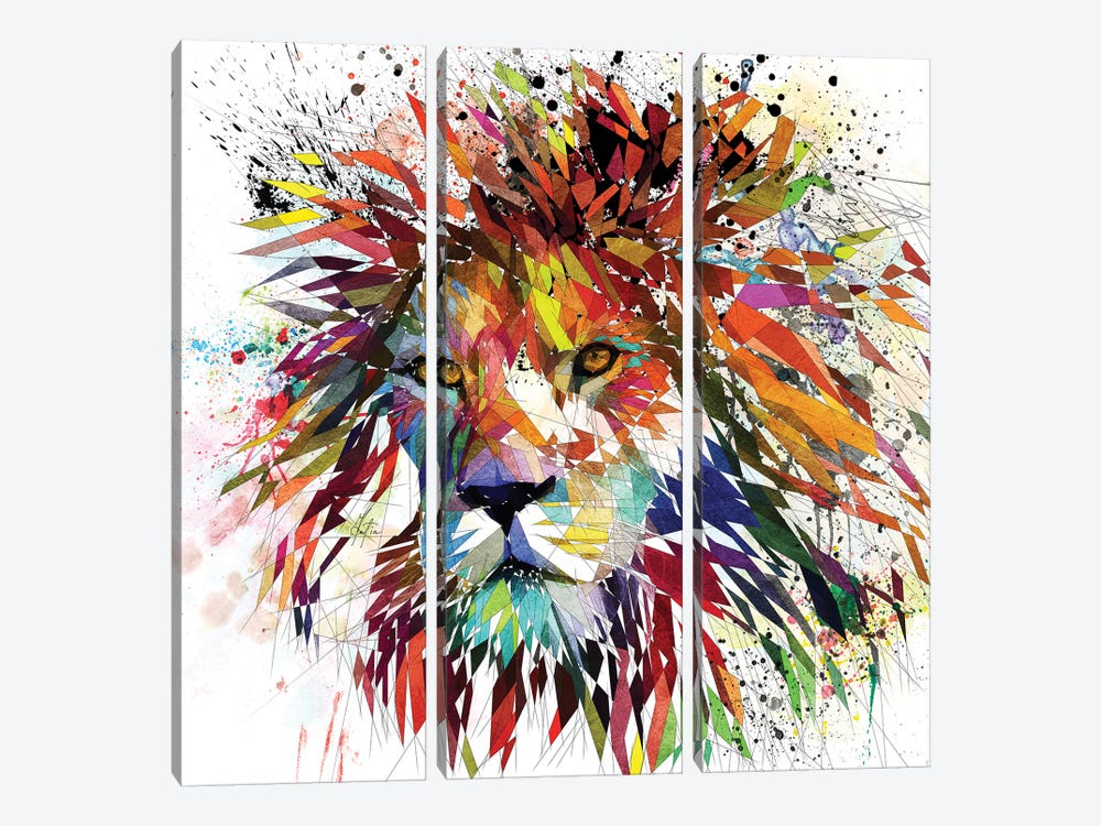 Lion Color by Katia Skye 3-piece Canvas Wall Art