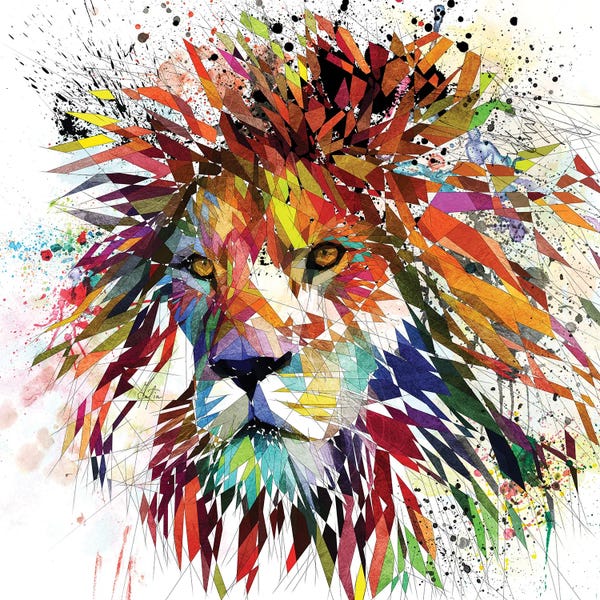 Katia Skye: Lion Color by Katia Skye
