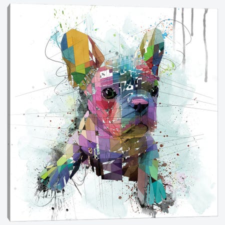 French Bulldog Puppy Canvas Print #KSK64} by Katia Skye Art Print
