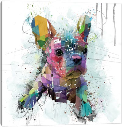 French Bulldog Puppy Canvas Art Print - Puppy Art