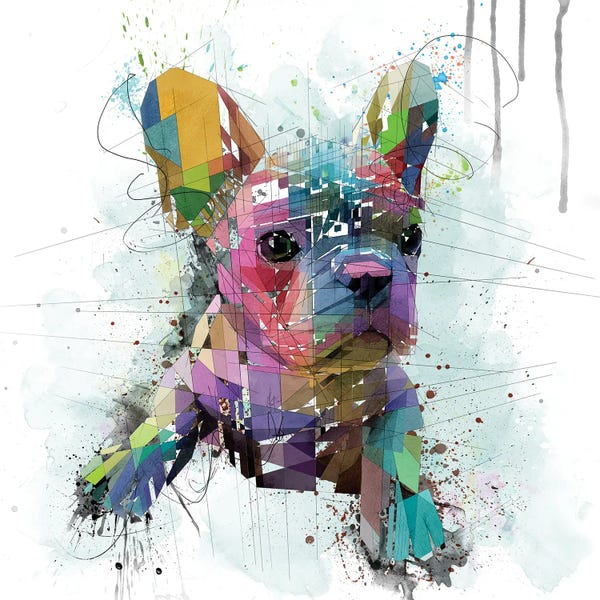 Puppies: French Bulldog Puppy by Katia Skye