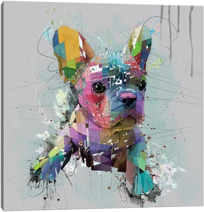 French Bulldog Puppy On Gray Canvas Art Print - Puppy Art