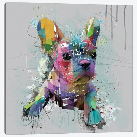 French Bulldog Puppy On Gray Canvas Print #KSK65} by Katia Skye Art Print