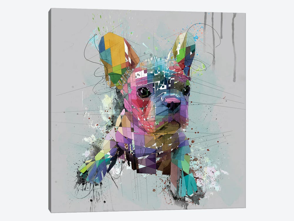 French Bulldog Puppy On Gray by Katia Skye 1-piece Canvas Art