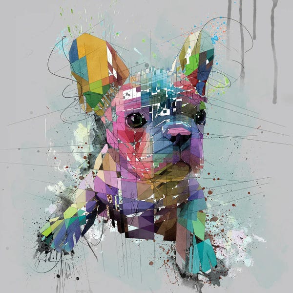 Katia Skye: French Bulldog Puppy On Gray by Katia Skye