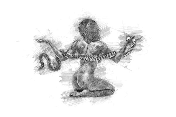 Snakes: Pencil Sketch XI by Katia Skye