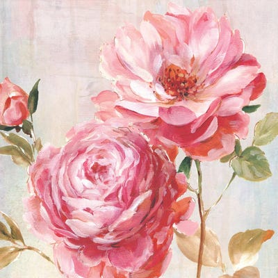 PetalPaint II by Karen Smith framed canvas print