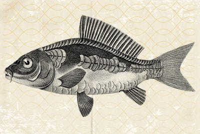 TheCatch I by Karen Smith framed canvas print