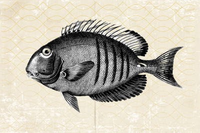 TheCatch II by Karen Smith canvas print