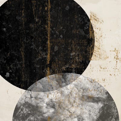 Crisscross II by Karen Smith framed canvas print