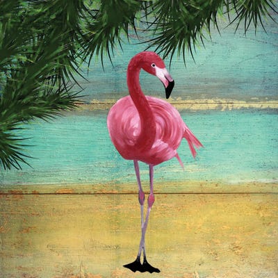 Flamingo Frame II by Karen Smith framed wall art