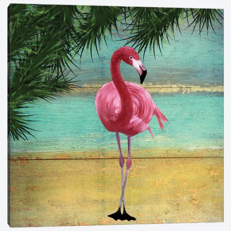 Flamingo Frame II Canvas Print #KSM114} by Karen Smith Canvas Artwork