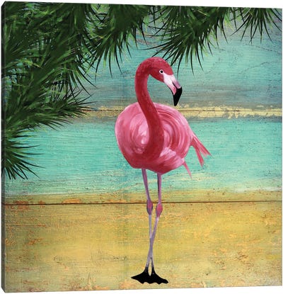 Flamingo Frame II Canvas Art Print - Karen Smith