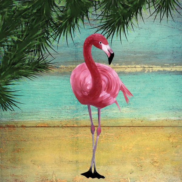 Flamingos: Flamingo Frame II by Karen Smith