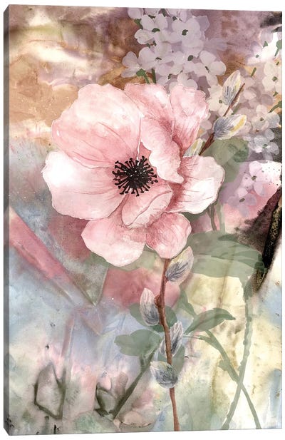 Fleur II Canvas Art Print - Karen Smith